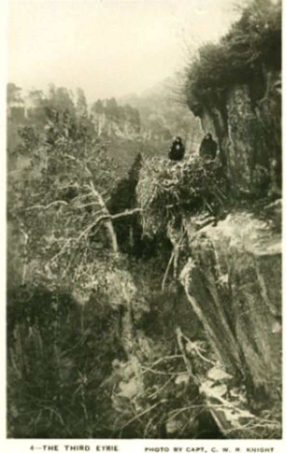 Stacks Image 9