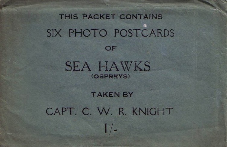 Stacks Image 9